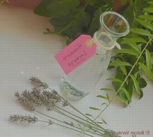 Las mejores antimosquitos natural antimosquitos spray antimosquitos productos naturales