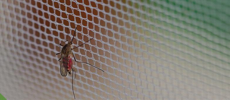 Las mejores marcas de tela antimosquitos antimosquitos tela antimosquitos que tipo