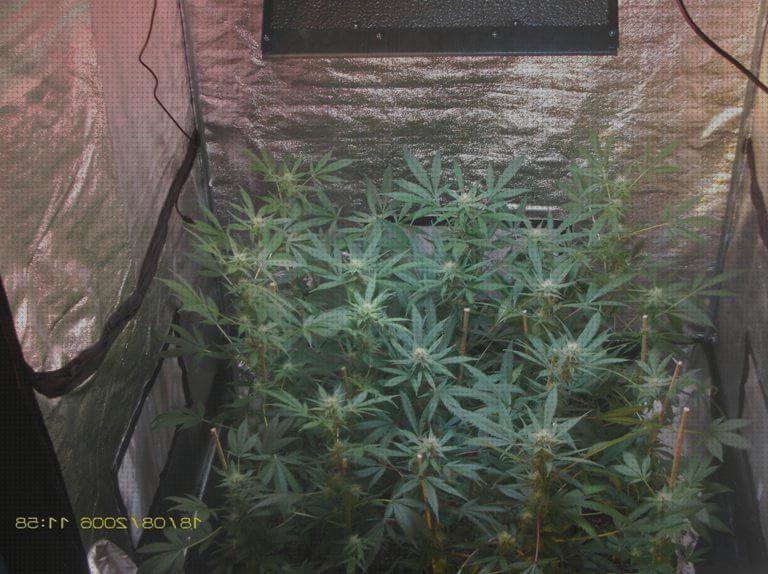 Review de tita de diodos led 4000k smd