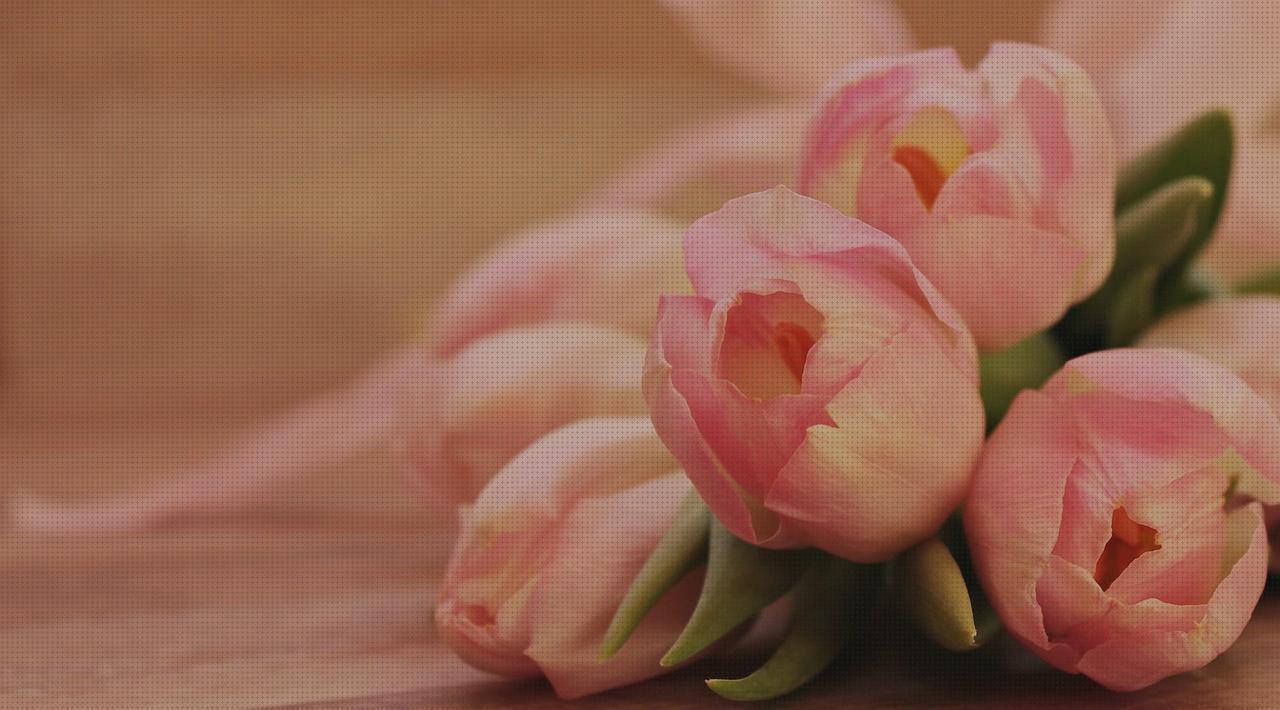 Las mejores lampara niño mesilla tulipa lampara mesilla