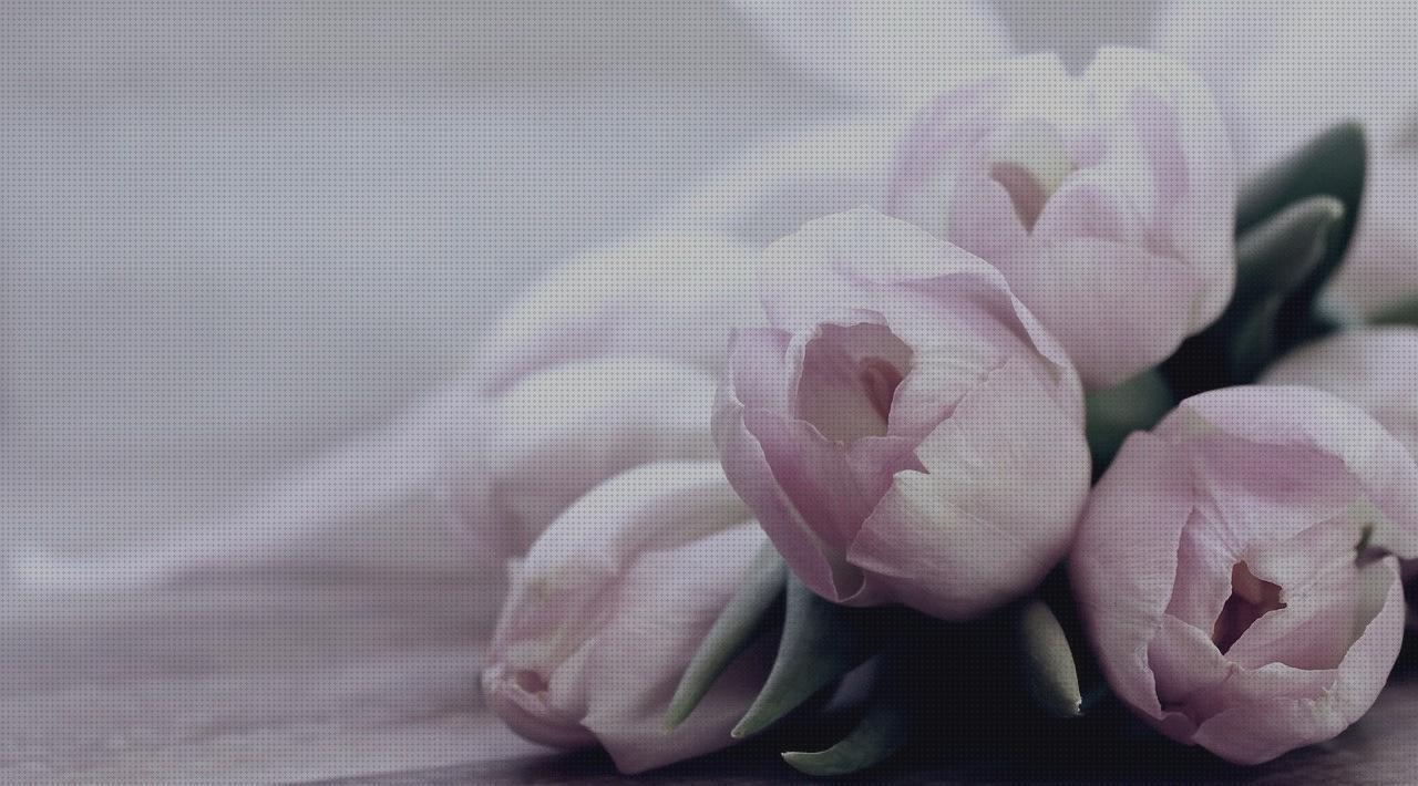 Review de tulipa lampara mesilla