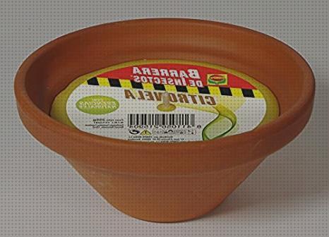 Las mejores citronella antimosquitos Más sobre antimosquitos mechero Más sobre antimosquitos sonata vela antimosquitos perfumada de citronella
