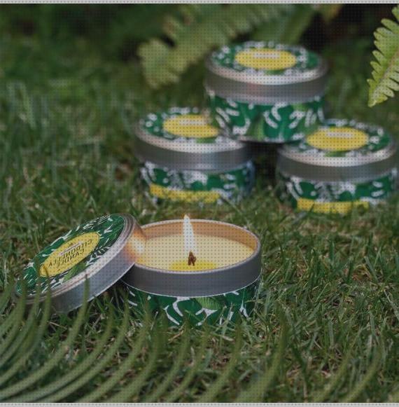 ¿Dónde poder comprar Más sobre pulsera antimosquitos ladybug Más sobre tiamina antimosquitos Más sobre tiamina antimosquitos velon exterior antimosquitos?